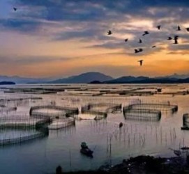 南宁伴游中国网景点丰富(旅游网介绍)