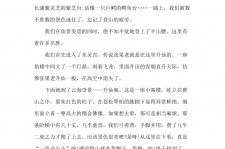 南宁旅游感想(张家界旅游感想)