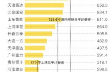 南宁关于伴游小丽中国足球的信息