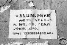南宁珠海伴游雇用网(珠海游览社雇用信息)