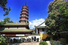 南宁广州自由行(广州 自由行)