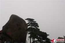 南宁上海伴游私家陪游雇用女模(上海伴游私家陪游雇用女模特)