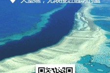 南宁中国250家旅行社结伴游新西兰(新西兰当地旅行社)