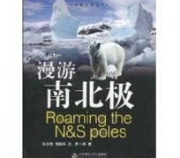 南宁游记攻略(ps西游记攻略)