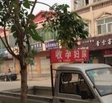 南宁上海伴游 用伴游造句大全(5
