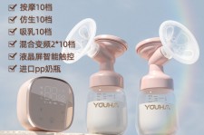 南宁奶模(奶模型)