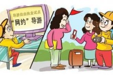 南宁伴游是什么