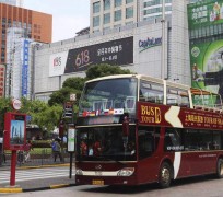 南宁上海私人伴游 上海过年怎么玩？这些“微游”线路了解下→
