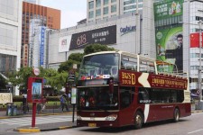南宁上海私人伴游 上海过年怎么玩？这些“微游”线路了解下→