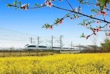 南宁高铁游(高铁游戏下载手机版)