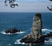 南宁旅游全攻略(上海旅游全攻略)