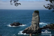 南宁旅游全攻略(上海旅游全攻略)