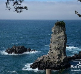 南宁旅游全攻略(上海旅游全攻略)