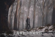 南宁上海私人伴游 上海伴游，上海兼职伴游安全吗