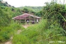 南宁北海伴游兼职雇用信息(北海伴游兼职雇用信息大全)