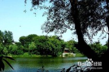 南宁西湖旅游攻略(上海到杭州西湖旅游攻略)