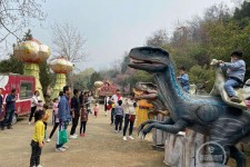 南宁中国伴游带你打卡网红南山竹海(南山竹海网上预约)
