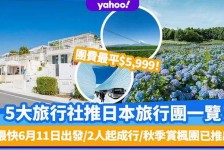 南宁旅游价格(旅游价格机制)