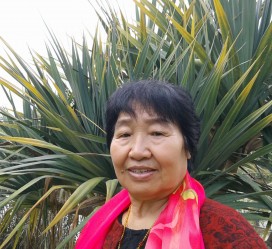 南宁白叟带老伴游半个中国(白叟外出旅游)