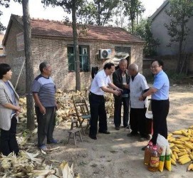 南宁关于宋叔带老伴游中国的信息
