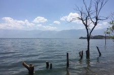 南宁洱海旅游攻略(洱海旅游攻略自由行)
