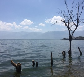 南宁洱海旅游攻略(洱海旅游攻略自由行)