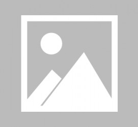 南宁全国男伴游雇用信息(哪里有雇用男士伴游的)