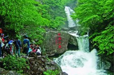 南宁安吉旅游攻略(湖州安吉旅游攻略)