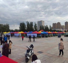 南宁通辽伴游雇用(哈尔滨伴游雇用)
