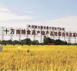 南宁关于成都商务伴游外围雇用的信息