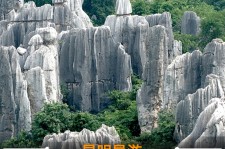 南宁贵阳市游览社英语伴游雇用(贵阳市前十名游览社是哪几家)