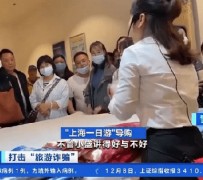 南宁上海私人伴游 看·法｜100元游上海？！“旅社”涉嫌诈骗被一窝端