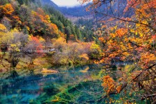 南宁四川旅游攻略(四川旅游攻略十五日游)