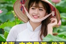 南宁日本关东伴游中国(日本关西旅行)