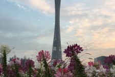 南宁广州旅游攻略(杭州到广州旅游攻略)