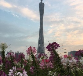 南宁广州旅游攻略(杭州到广州旅游攻略)