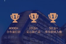 南宁上海私人伴游 ​ “小而美”的新时代：2020年国内新跟团消费报告