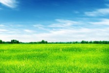 南宁上海伴游 上海模特伴游微信号的交友宣言