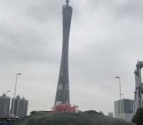 南宁广州游玩攻略(广州游玩攻略景点大全免费)
