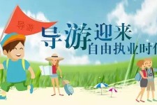 南宁私人伴游 “网约导游”到底是正流行 还是不热闹