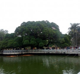 南宁福州旅游攻略(福州旅游攻略二日游)