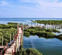 南宁旅游哪里好玩(云南旅游哪里好玩)
