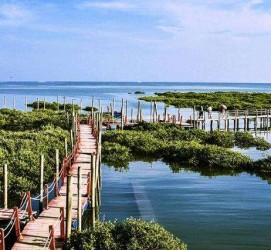 南宁旅游哪里好玩(云南旅游哪里好玩)