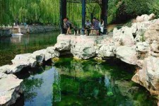南宁济南旅游攻略(青岛威海济南旅游攻略)