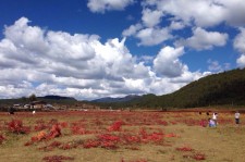 南宁旅游去处(暑期最好的旅游去处)