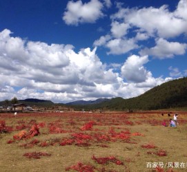 南宁旅游去处(暑期最好的旅游去处)