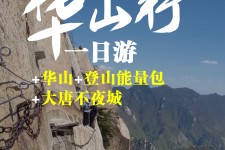 南宁一日游(一日游需要准备些什么东西?)