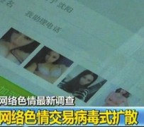 南宁上海伴游 伴游女郎白天陪玩晚上陪睡 网络跑火日薪过万(图)