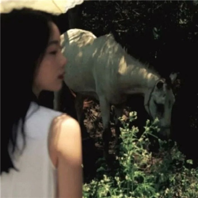 南宁私家伴游让你拥有一次完美的旅游体验